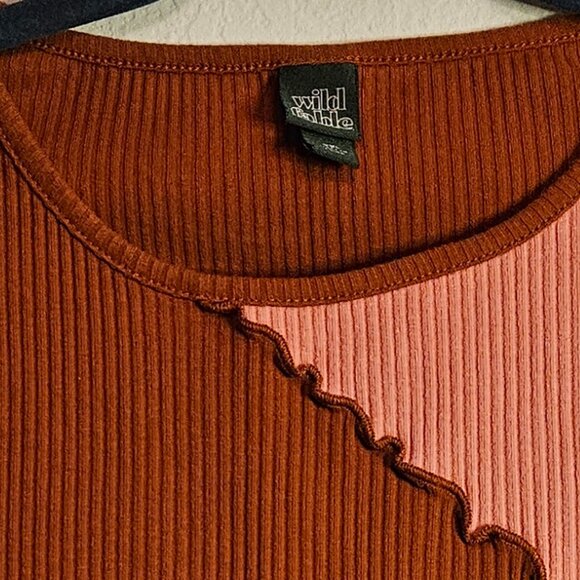 Ribbed Knit Colorblock Tee - Picture 2 of 2